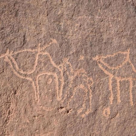 Wadi Rum Albasli 외부 사진