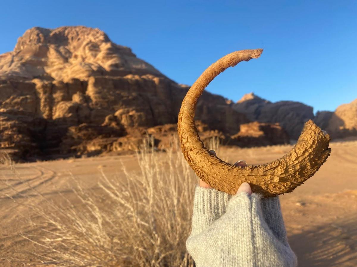 Wadi Rum Albasli 외부 사진