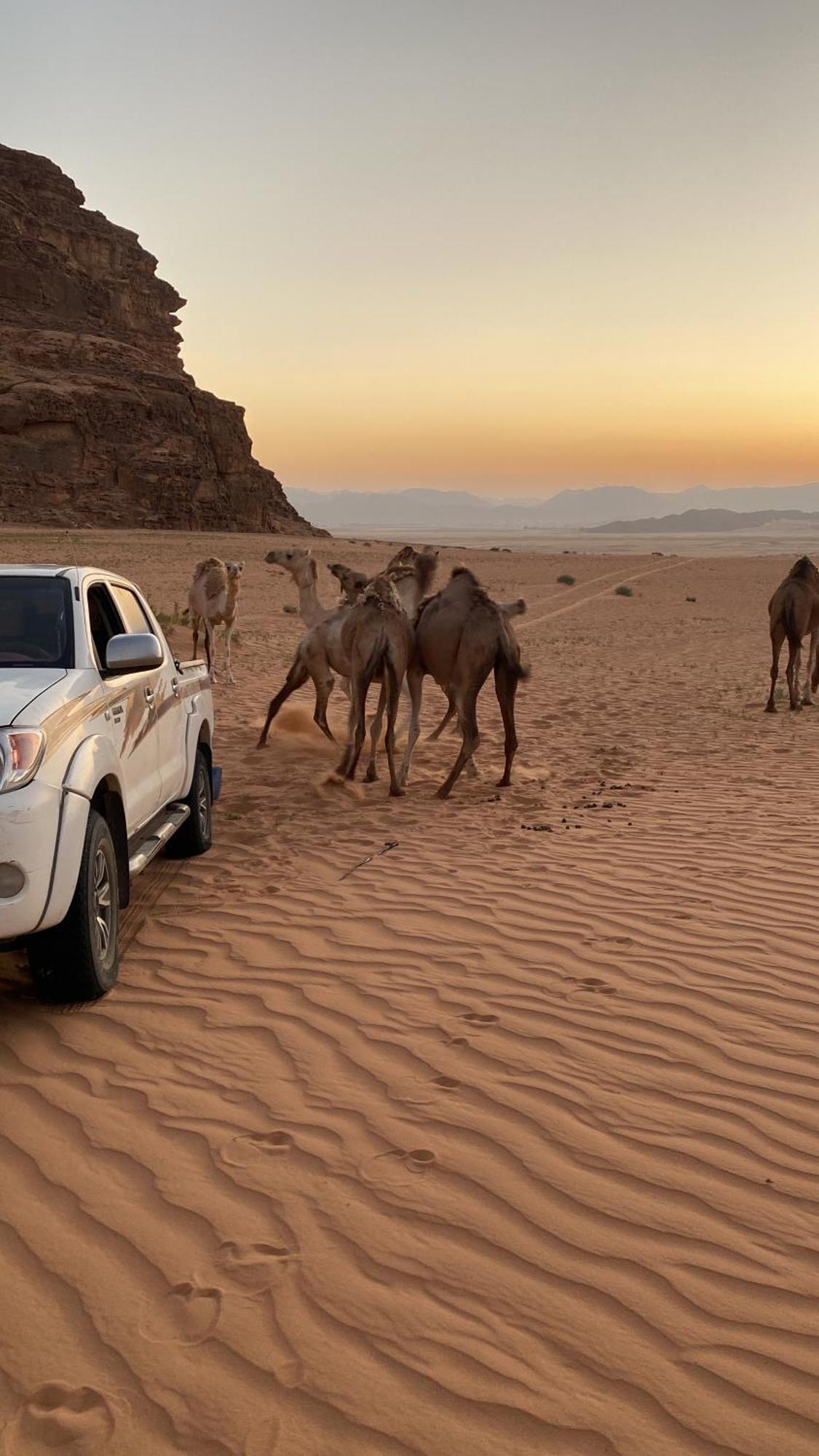 Wadi Rum Albasli 외부 사진