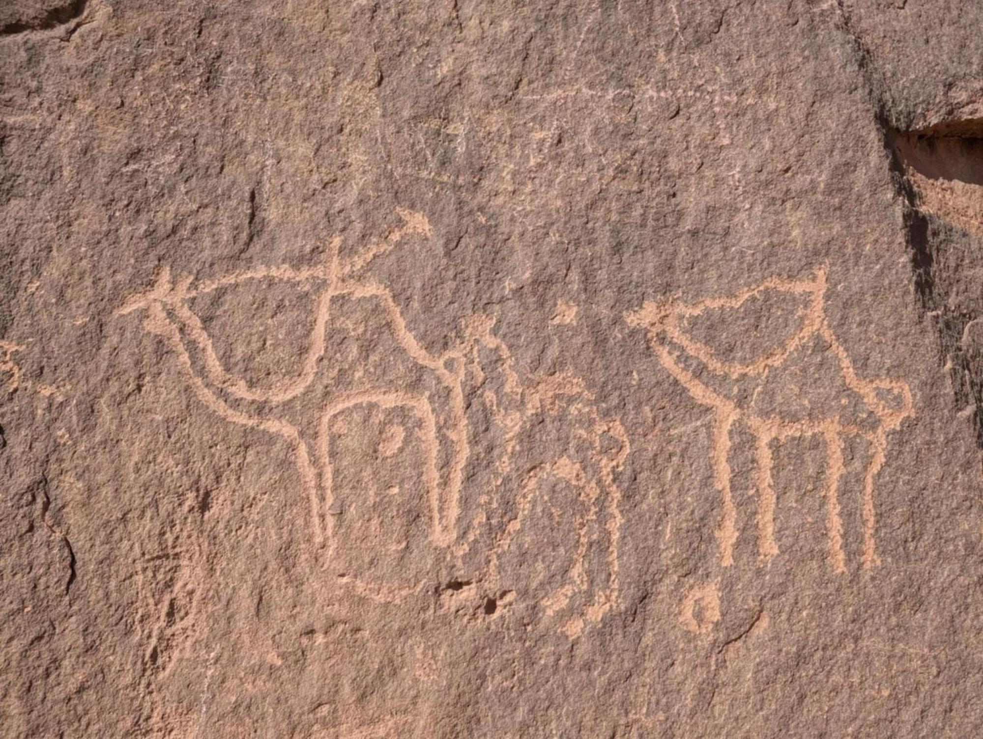Wadi Rum Albasli 외부 사진